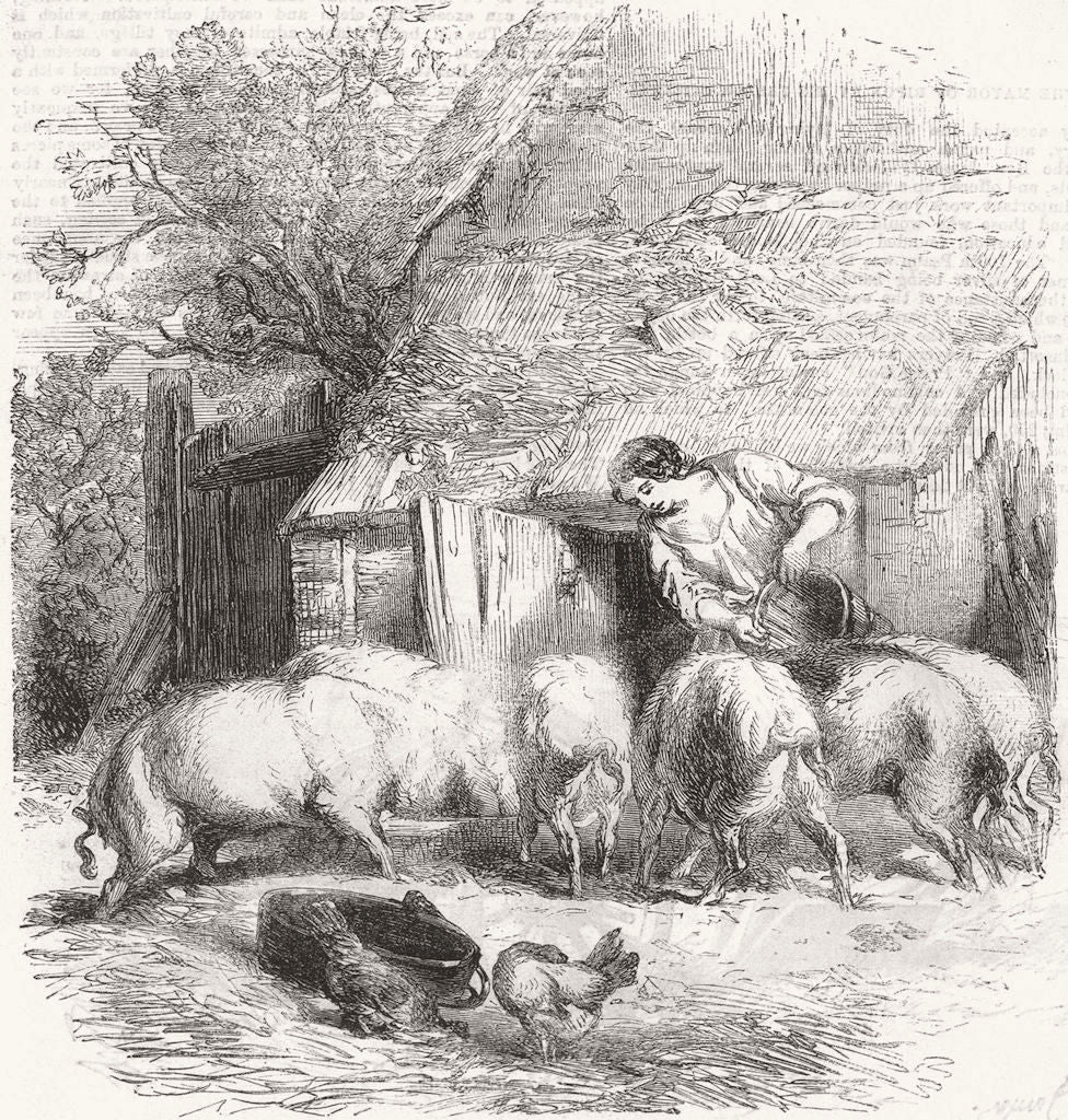 FARMS. French Agricultural Scenes. farmyard 1859 old antique print picture